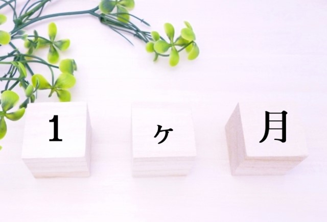 サイトがオープンして1ヶ月が経ちました！
