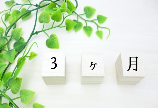 サイトがオープンして3ヶ月が経ちました！